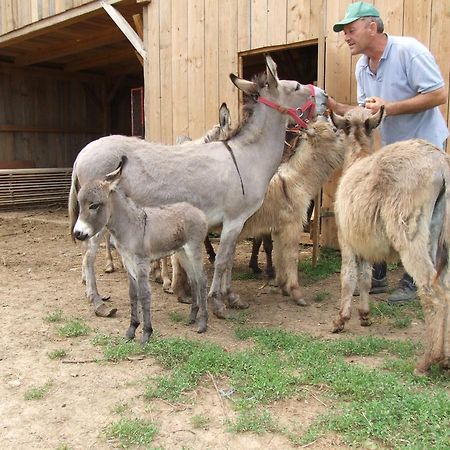 Tourist Farm Ob Izviru Krupe Villa Semic Dış mekan fotoğraf